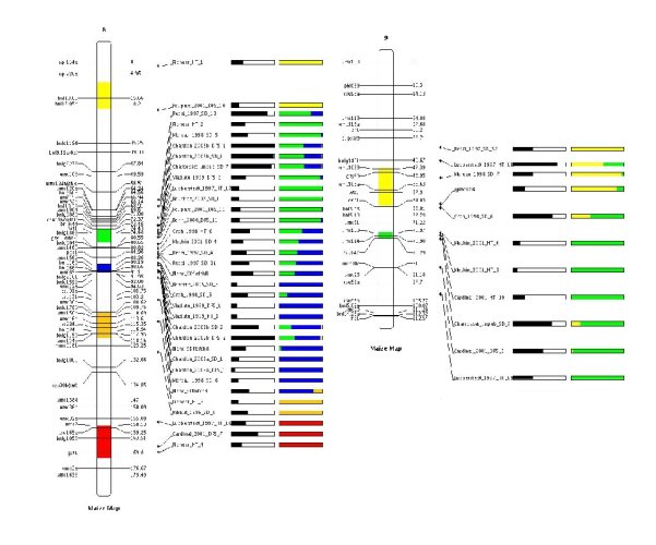 fig7.jpg