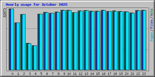 Hourly usage for October 2025