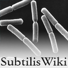 Subtiliswiki.logo.jpg
